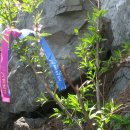 갈맷길2-1 이미지