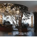 경민치과기공소 이미지