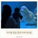 월드만물 | 잠실 롯데 아쿠아리움 벨루가 9개월 아기랑 방문후기 수유실 할인 주차정보