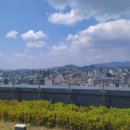 스타메디타워 이미지