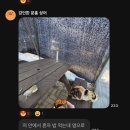 은서종합화장품 | 2~3월