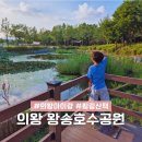 209자동차정비 | 서울근교 나들이 가볼만한곳 경기도 의왕 왕송호수공원 아이와 공원 피크닉