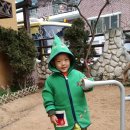 석화꽃무지풀무지유치원 이미지