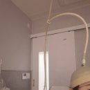 대덕대로-8 | 대전 여성지루성두피 흰머리 둔산동 WT메소드 8회차 후기