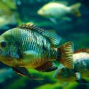 역돔낚시터 이미지