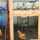 에코농원 이미지