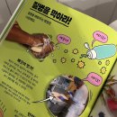 그림책이 궁금해 | 유아부터 초등학교까지 교과연계 과학그림책, 키위북스 '엄청 작은 생물들이 궁금해!2'