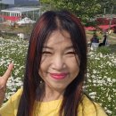 카페;데이지 - 평택시 경기대로 721 | 카페;데이지