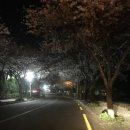 예래동-4 이미지