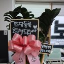 겔마미라클가호방