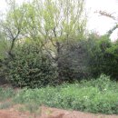 용당경로당 이미지