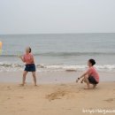 새콤달콤토퍼