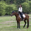 용인씨씨승마클럽 이미지