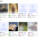 지수개발 | 포포몬 블로그 지수로 확인한 블로그지수무료 분석 후기｜체험단 마케팅에 꼭 필요한 이유