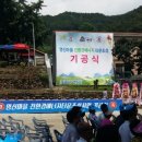 영신 태양광발전소 이미지