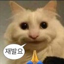 백만불노래연습장 | 손해평가사 2차 합격 후기(ㄱㄹ)