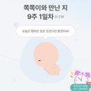 마미캐릭터