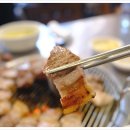 연탄과친한돼지 이미지