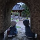 선문염송설화 이미지