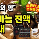 남해흑마늘