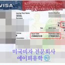 [미국비자거절] 미국항공학교 JC AIR ACADEMY 입학하기 / M비자 한번에 합격하는법! with 에이피유학