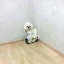 메디팜성화약국 이미지