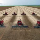 초월농장 이미지