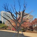 미성화학 이미지