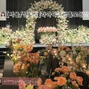 패빌리티 | 서울 신도림 웨딩홀 추천 라마다 호텔 그랜드볼룸홀 뷔페 주차 솔직후기