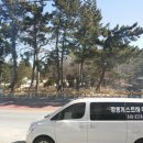 강릉동해막국수 이미지
