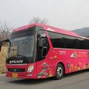 야간시티투어(토요일) 이미지