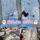 통일슈즈 | 젤리 코인 탑승! 젤리 슈즈 만들러 동대문 다녀온 후기