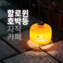 펌킨 | 할로윈캠핑 필수 소품, 리틀쉐이디 펌킨 랜턴 후기