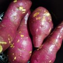 순희농장 이미지