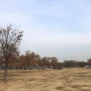 언구비공원 이미지