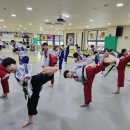 용인대 화랑 태권도장 이미지