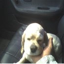 용전축산 이미지