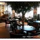 커피나루 이미지