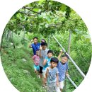 건축사사무소인솔