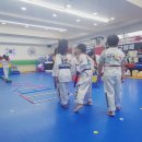 경희대 활기찬 태권도장 이미지