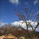 남도호텔 이미지