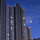 영화산책 이미지