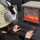 던디자인앤마케팅 이미지