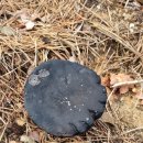 대전둘레산길(8구간) 이미지