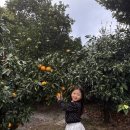 봉주르제주 이미지