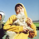 플란다스의개 이미지