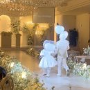 꽃풍선 & 버블 플라워 | w16. 결혼식 화동 준비물 예쁜 버블풍선 다즐링 플라워