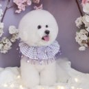 그루밍샵 0105 이미지
