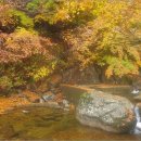 가야산약국 이미지