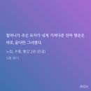 빨강돼지 네이버블로그